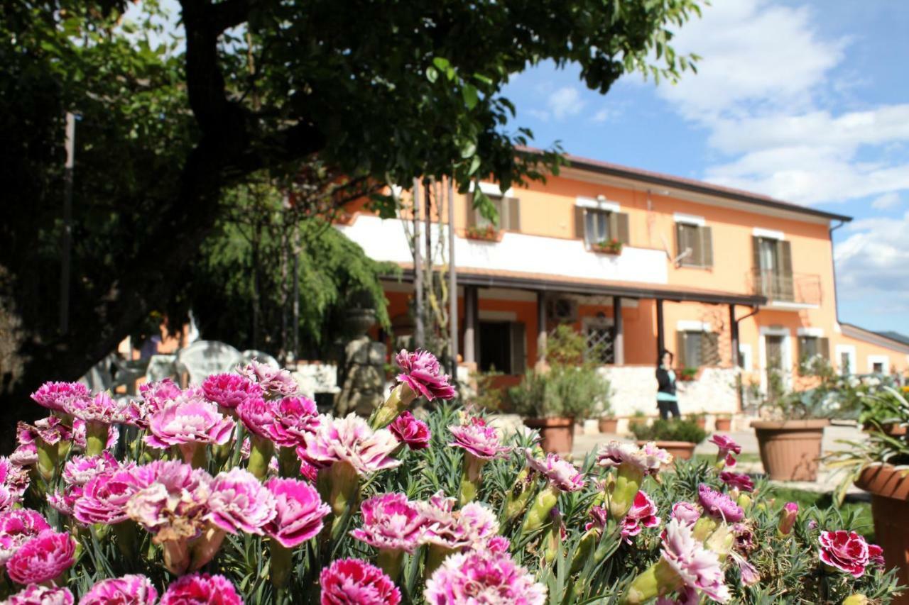 B&B Casale Shanti Piedimonte San Germano 外观 照片